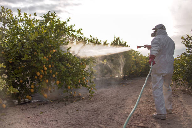 Best Pest Prevention Services  in Croydon, PA
