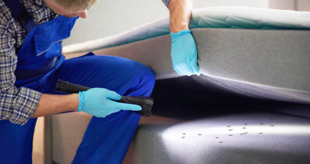Best Termite Control Services  in Croydon, PA
